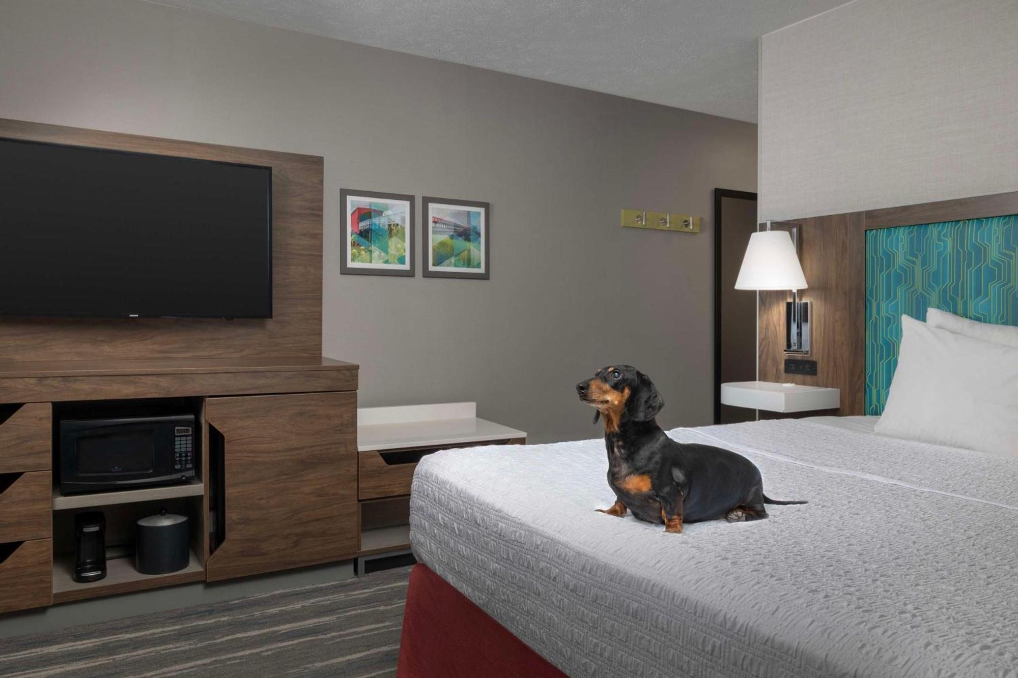 Hampton Inn Ватерлоо Экстерьер фото